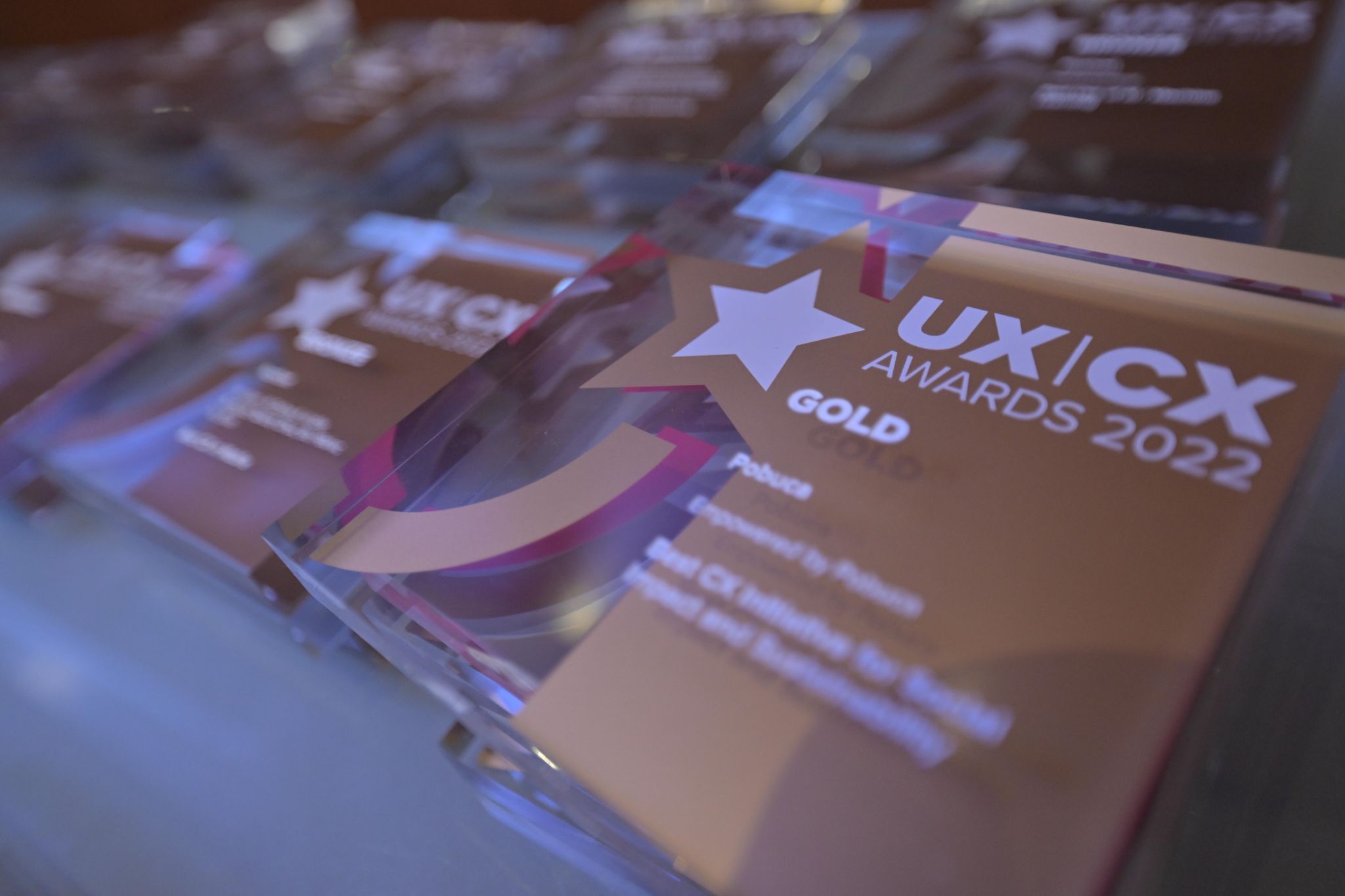 Pobuca received two golds in the categories "Best Customer Experience during a Crisis", "Best CX Initiative for Social Impact and Sustainability" and a bronze in the category “Best in Fashion & Beauty”.